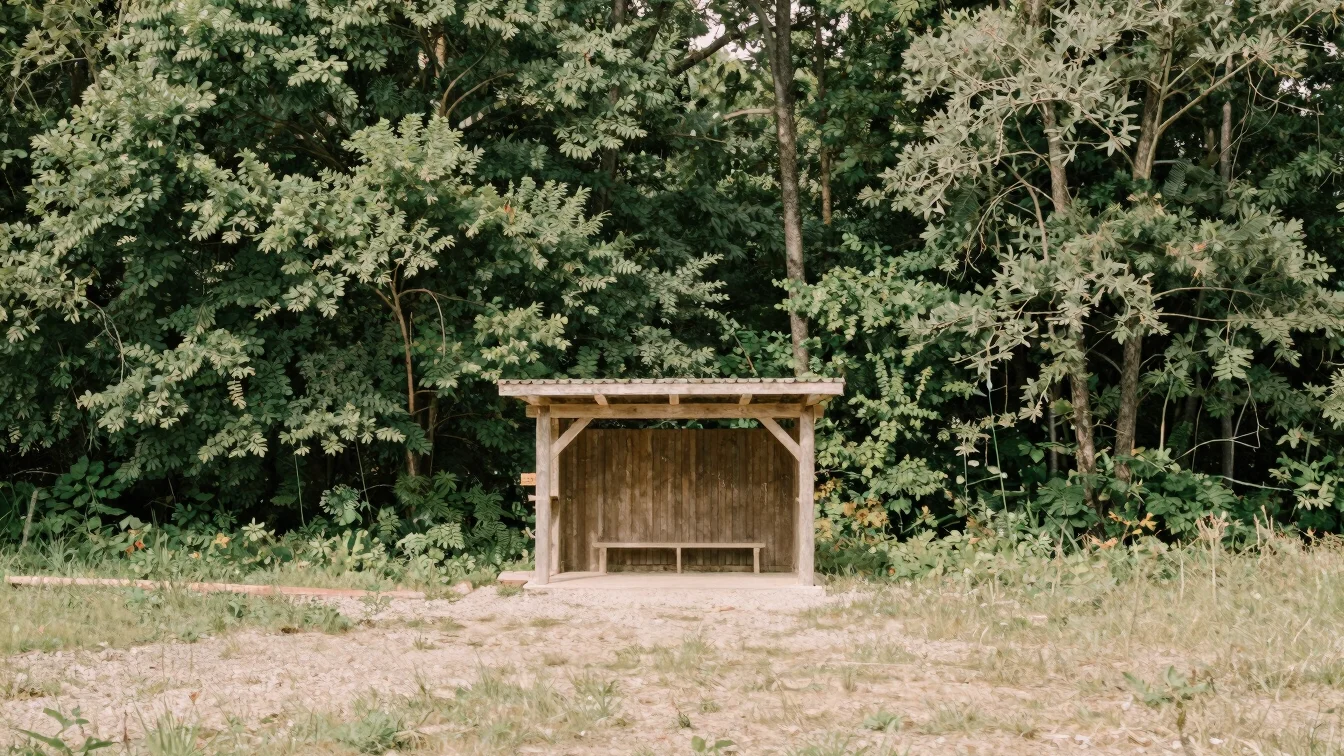 Unoccupied exterior of a timber woodland shelter surrounded by ma